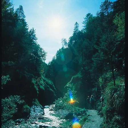 Foidl Appartement St. Johann in Tirol