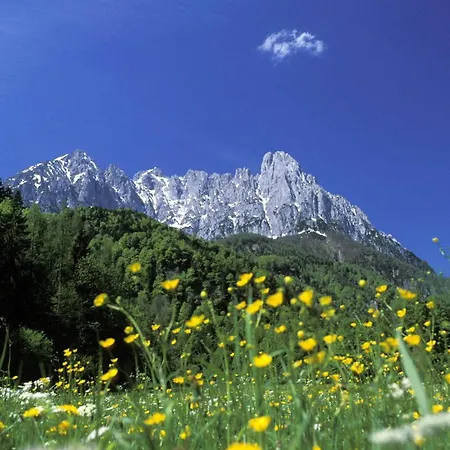 Foidl * Sankt Johann in Tirol