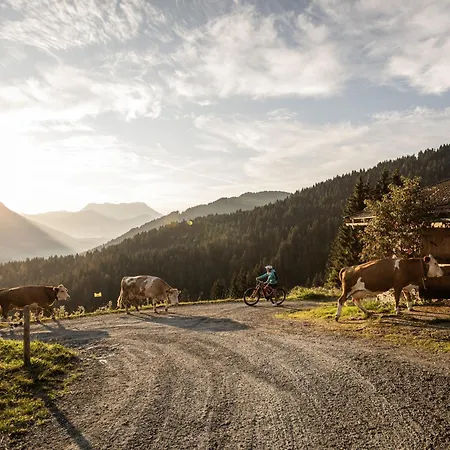 Foidl Apartment St. Johann in Tirol