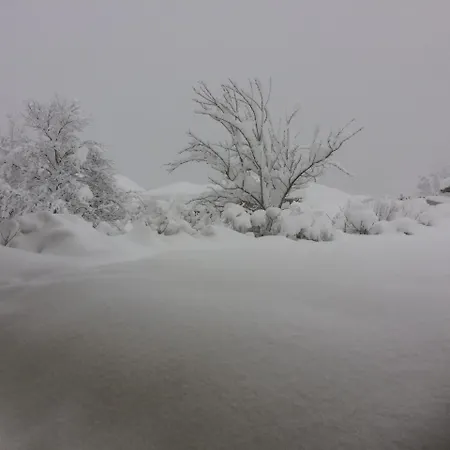 Foidl St. Johann in Tirol