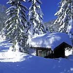 Foidl