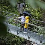 Foidl Sankt Johann in Tirol
