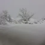 Foidl Sankt Johann in Tirol