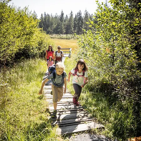 Foidl Lejlighed St. Johann in Tirol